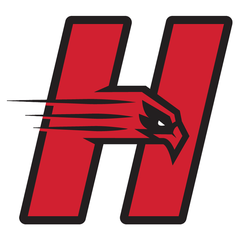 Hartford Hawks iron ons